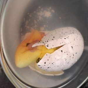Ein Dino schlüpft aus dem Ei